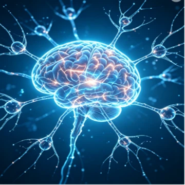 ผงส่วนผสม Nootropic